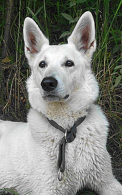 Charis am See -2,5 Jahre alt